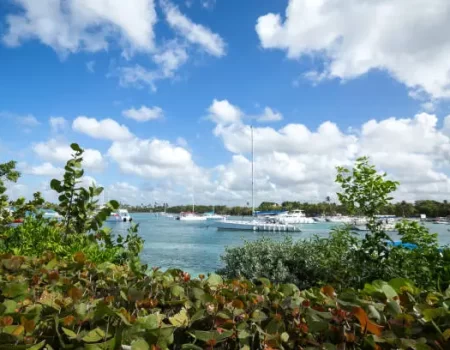 Guía Completa para Viajar a Bayahibe República Dominicana