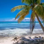 Guía para Visitar Isla Saona desde Bayahibe