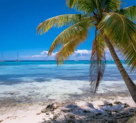 Guía para Visitar Isla Saona desde Bayahibe