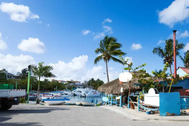 Todo lo Necesario Antes de Visitar Bayahibe